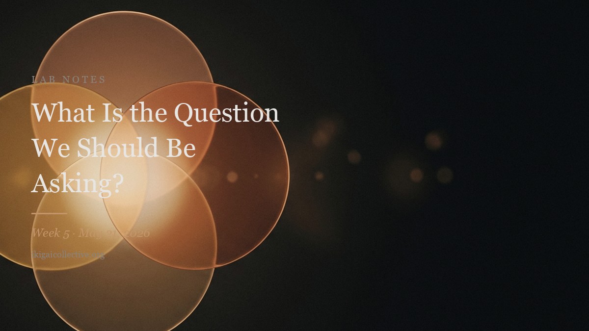What Is the Question We Should Be Asking? — Lab Notes cover