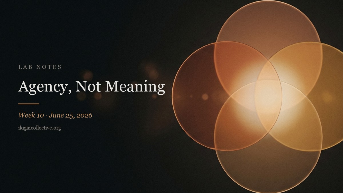 Agency, Not Meaning — Lab Notes cover