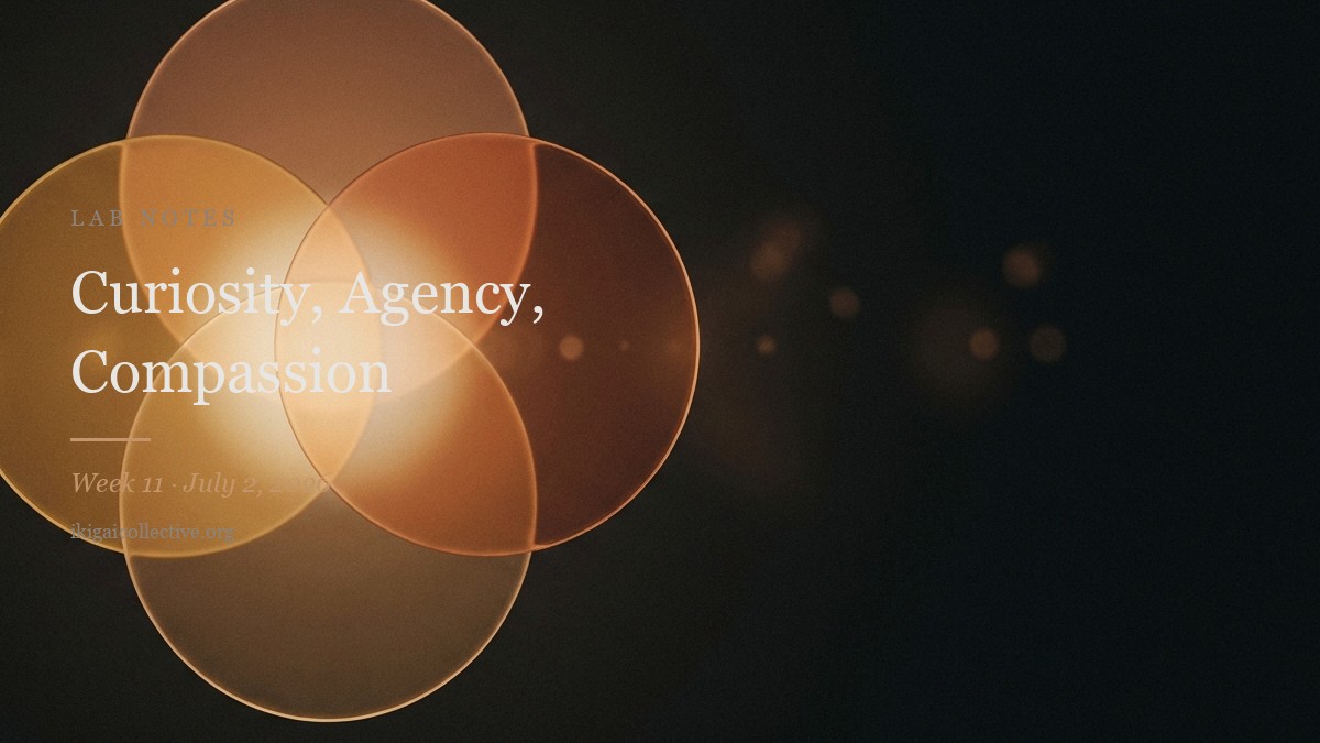 Curiosity, Agency, Compassion — Lab Notes cover
