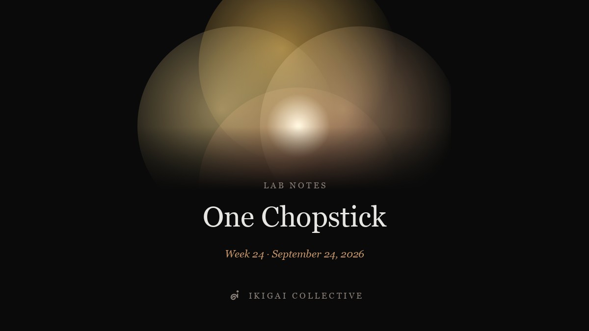 One Chopstick — Lab Notes cover